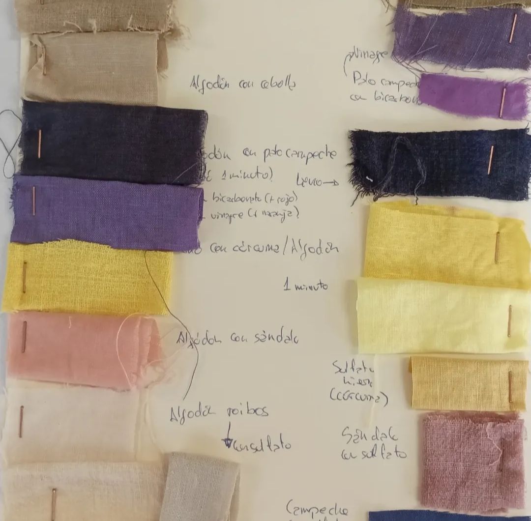 Taller de Iniciación a los Tintes Naturales - Imagen 5