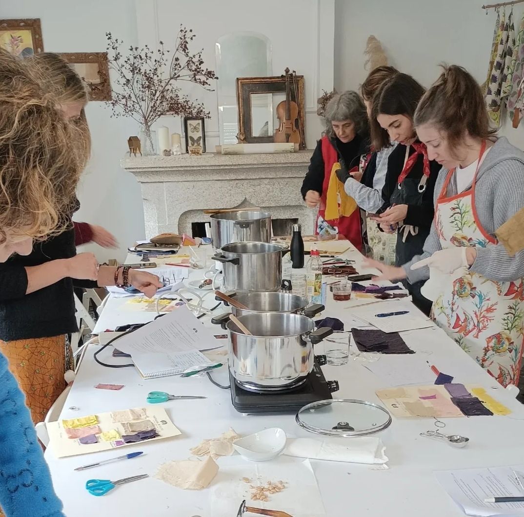 Taller de Iniciación a los Tintes Naturales - Imagen 3